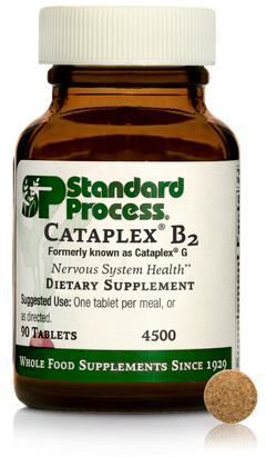 Cataplex® B2, 90 Tablets