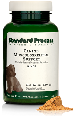 Canine Musculoskeletal Support, 4.2 oz (120 g)