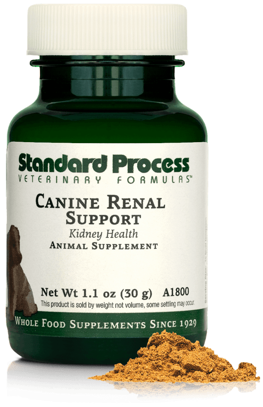 Canine Renal Support, 30 g