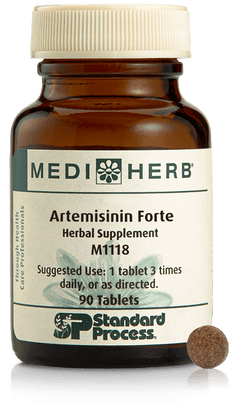 Artemisinin Forte, 90T