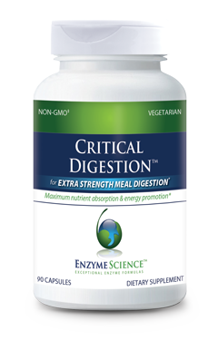 Critical Digestion® 90 Capsules.